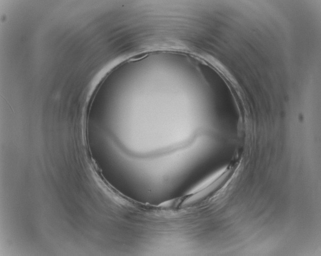 X0000072521246200608041524