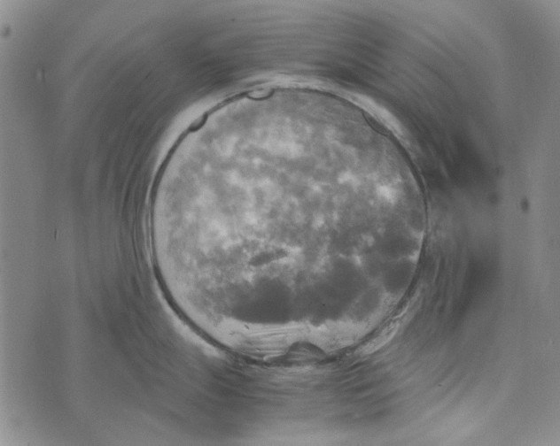 X0000072521247200608041524