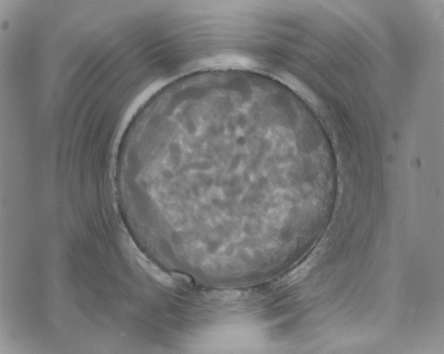 X0000072521248200608041524