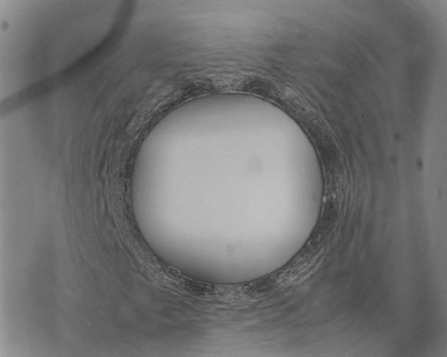 X0000072521249200608041523