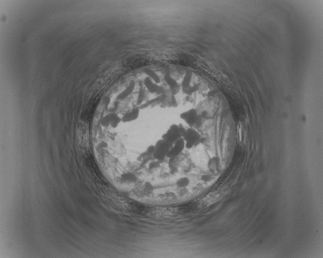 X0000072521251200608041523