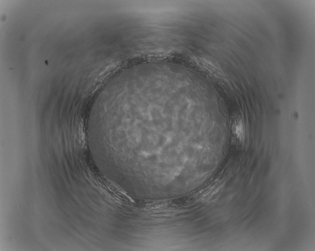 X0000072521252200608041523