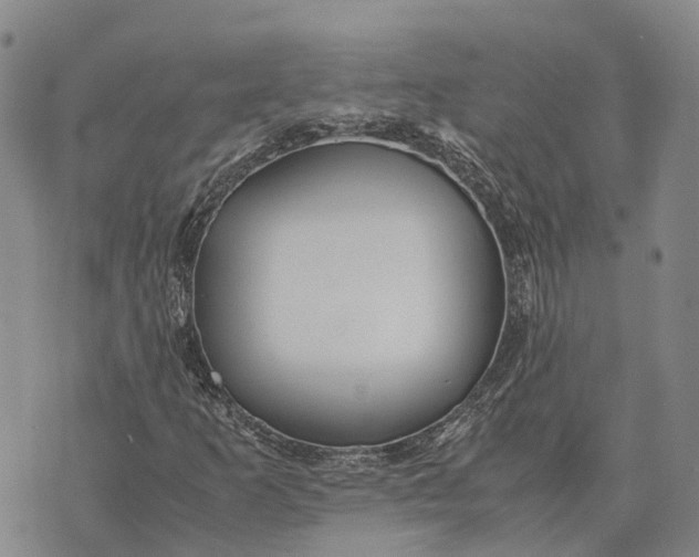 X0000072521253200608041523