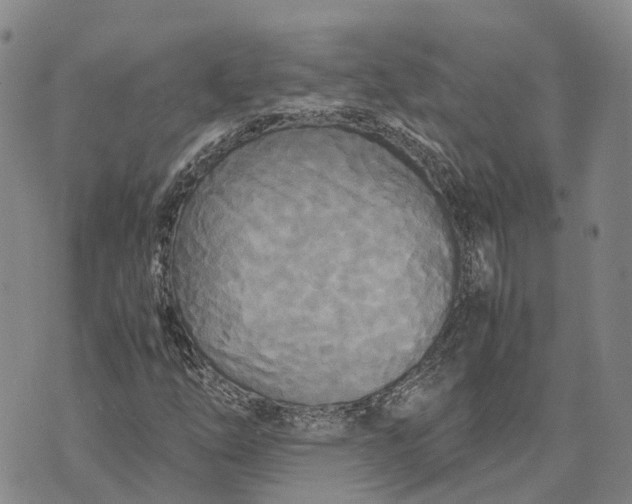 X0000072521254200608041523