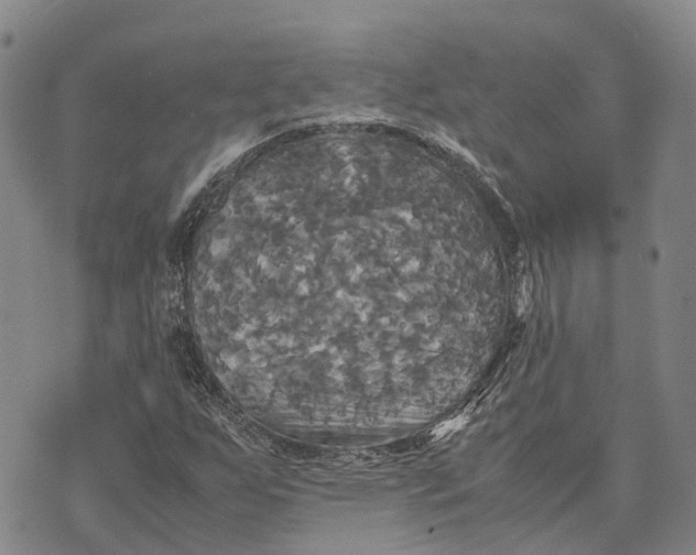 X0000072521255200608041523