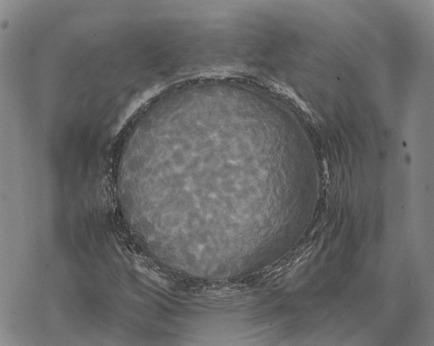 X0000072521256200608041523