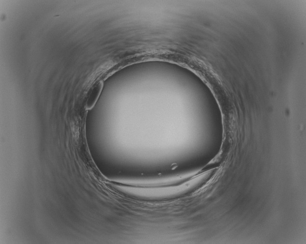 X0000072521257200608041523