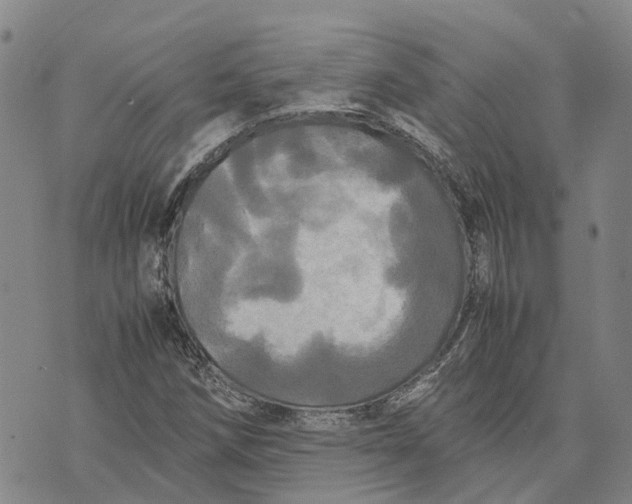 X0000072521258200608041523