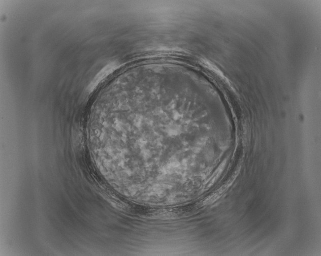 X0000072521259200608041523