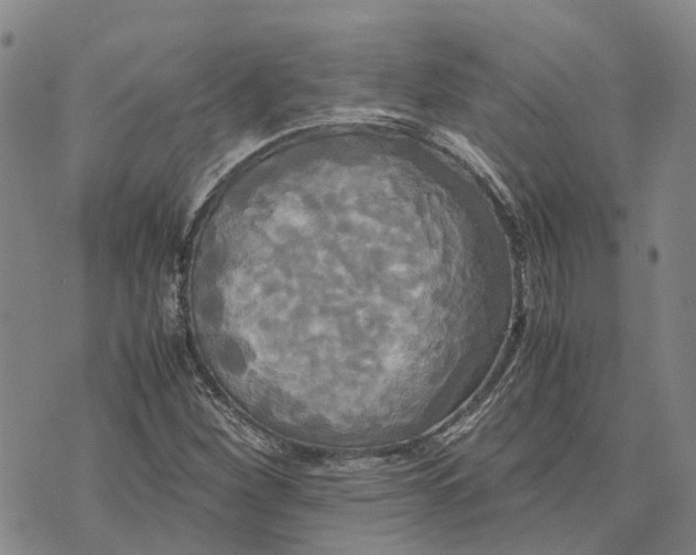 X0000072521260200608041523