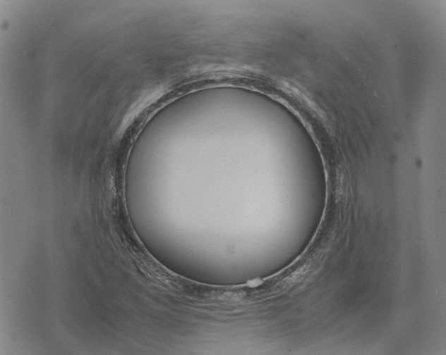 X0000072521261200608041523