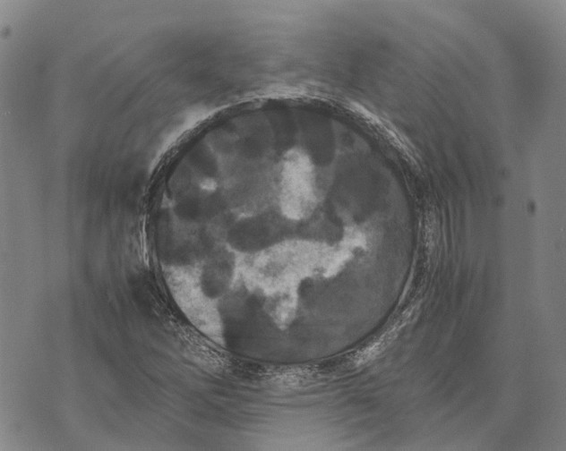 X0000072521262200608041523