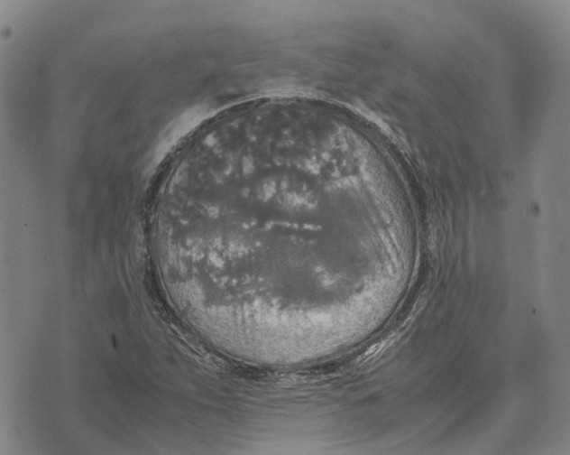 X0000072521263200608041523