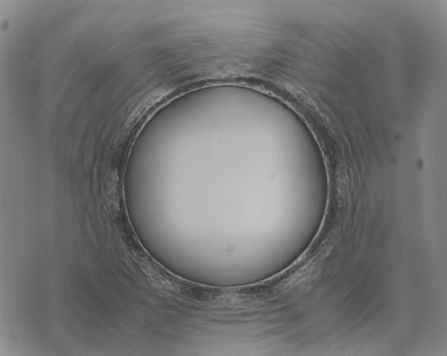 X0000072521265200608041523