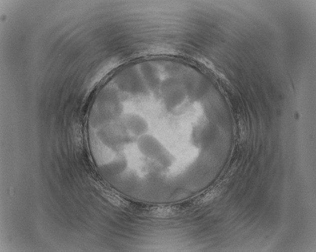 X0000072521266200608041523