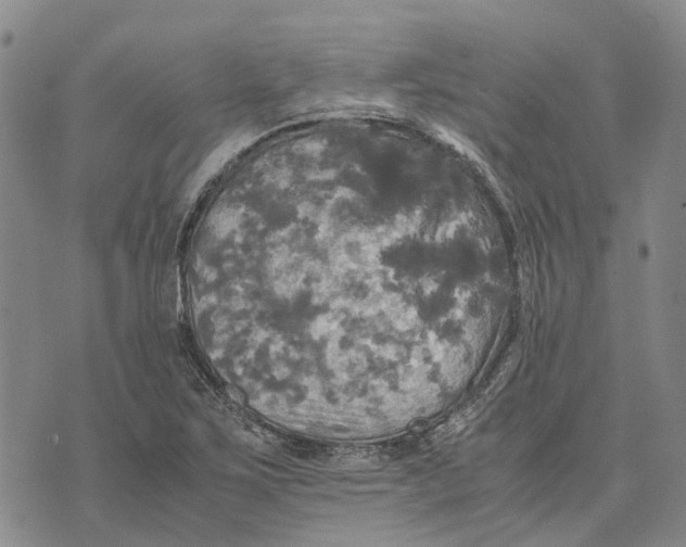 X0000072521267200608041523