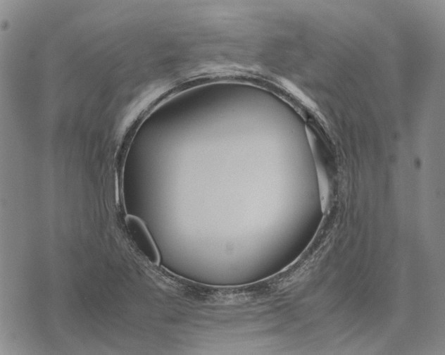 X0000072521269200608041523