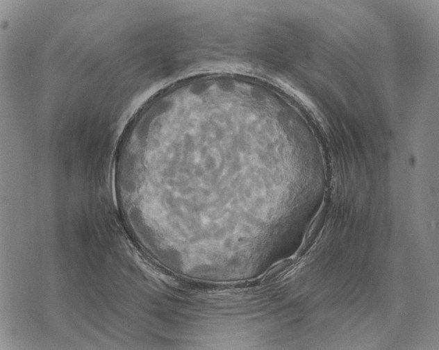 X0000072521272200608041523