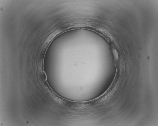 X0000072521273200608041523