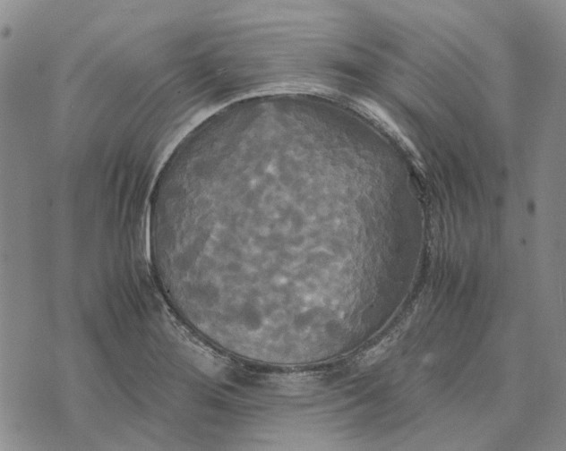 X0000072521276200608041523