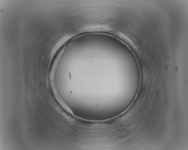 X0000072521277200608041523