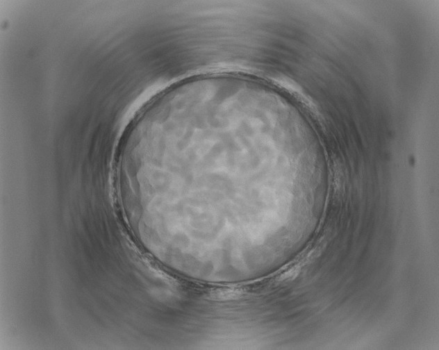 X0000072521278200608041523