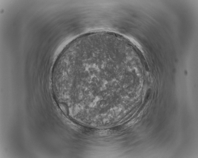 X0000072521279200608041523