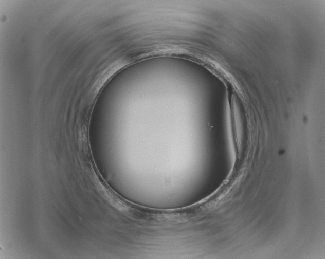 X0000072521281200608041522