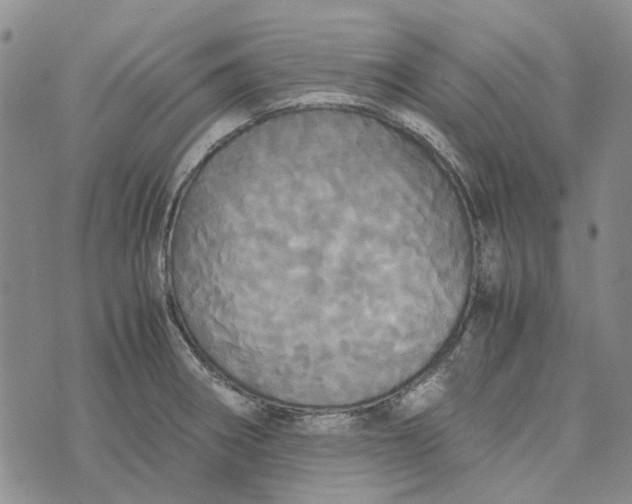 X0000072521282200608041522