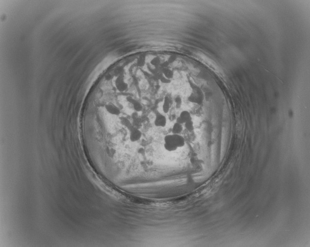 X0000072521283200608041522