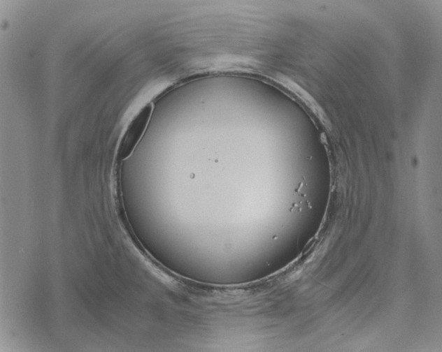 X0000072521285200608041522