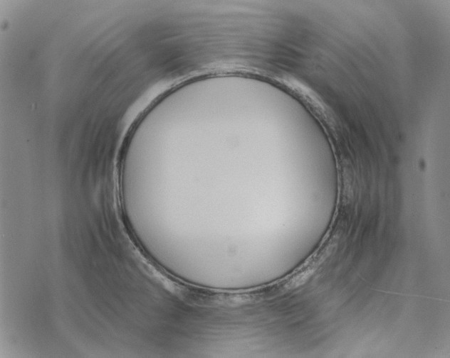 X0000072521286200608041522