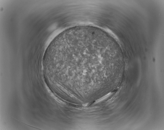 X0000072521287200608041522