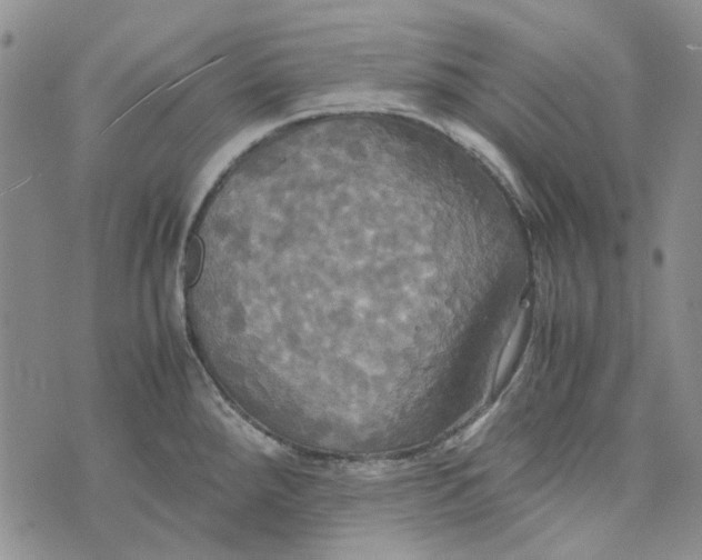 X0000072521288200608041522