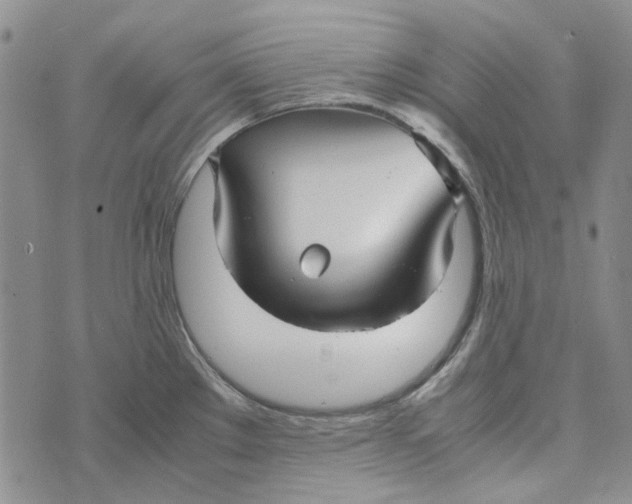 X0000072521289200608041522