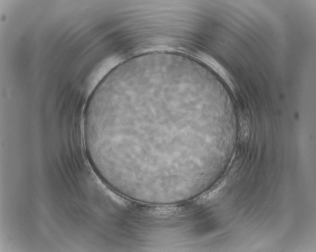 X0000072521290200608041522