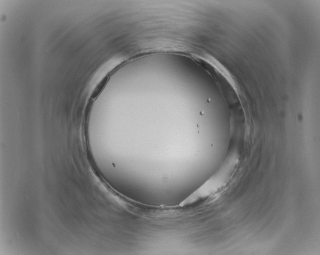 X0000072521293200608041522