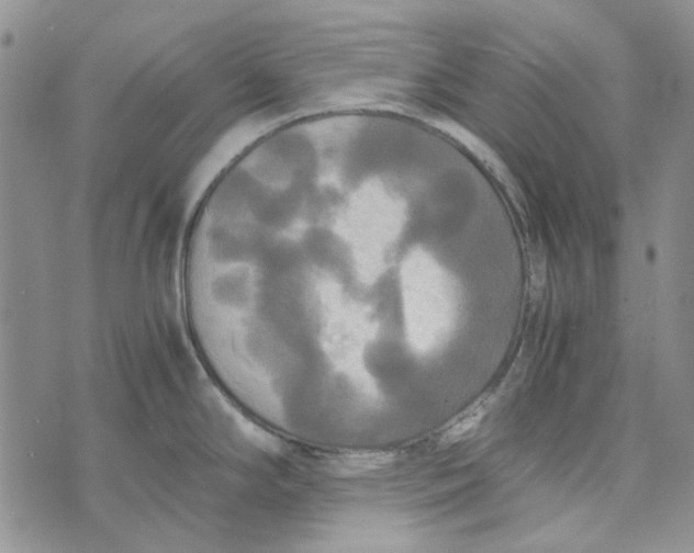 X0000072521294200608041522