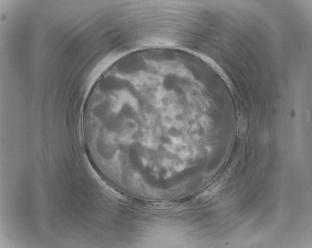 X0000072521295200608041522