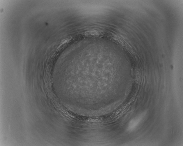 X0000072521297200608041521