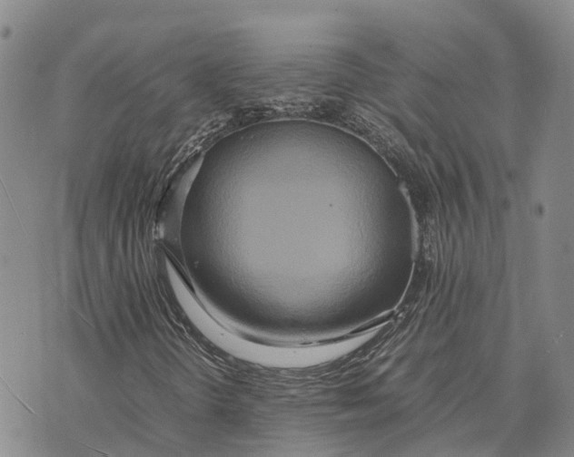 X0000072521298200608041521