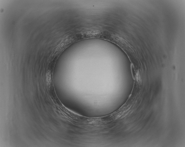 X0000072521299200608041521