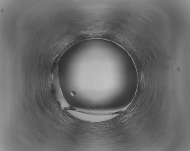 X0000072521300200608041521