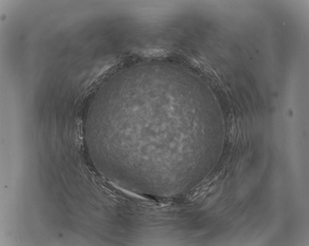 X0000072521301200608041522