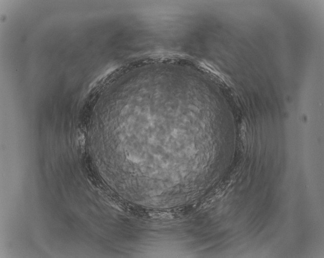 X0000072521302200608041522