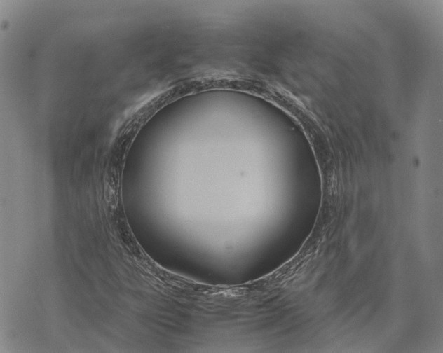 X0000072521303200608041522