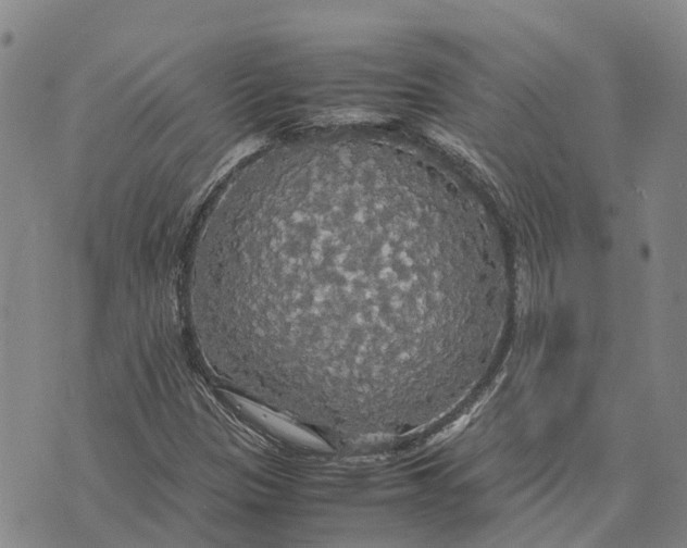 X0000072521305200608041522