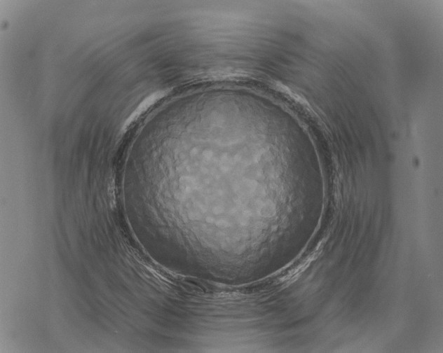 X0000072521306200608041522