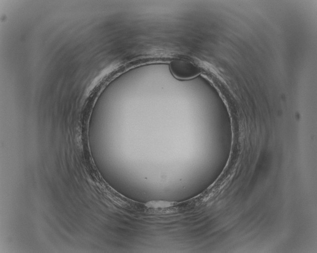 X0000072521307200608041522