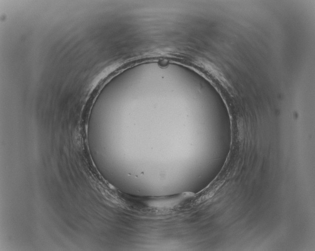 X0000072521308200608041522